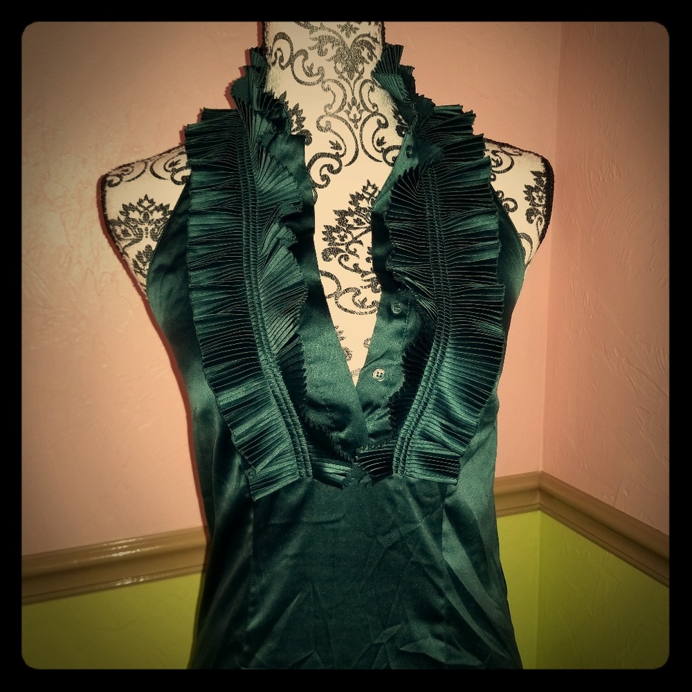 The Limited Ruffled Blouse